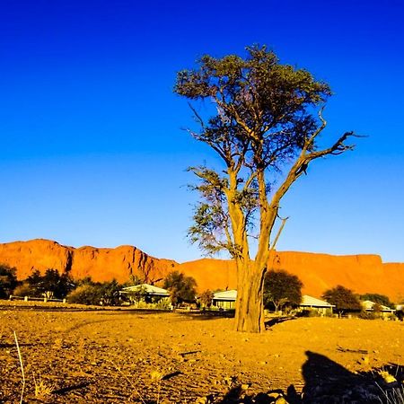 Namib Desert Campsite Hotel Solitaire Exterior foto