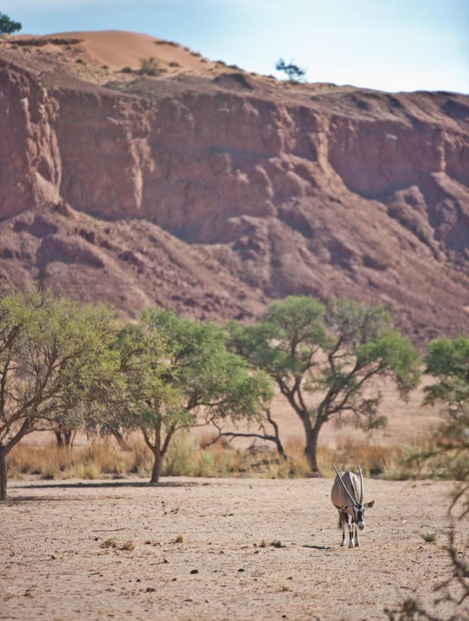 Namib Desert Campsite Hotel Solitaire Exterior foto