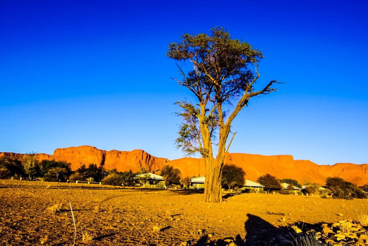 Namib Desert Campsite Hotel Solitaire Exterior foto