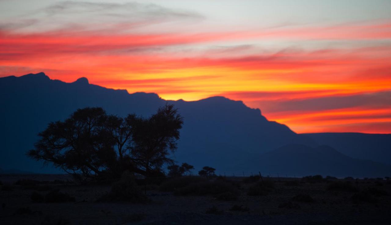 Namib Desert Campsite Solitaire Exterior foto